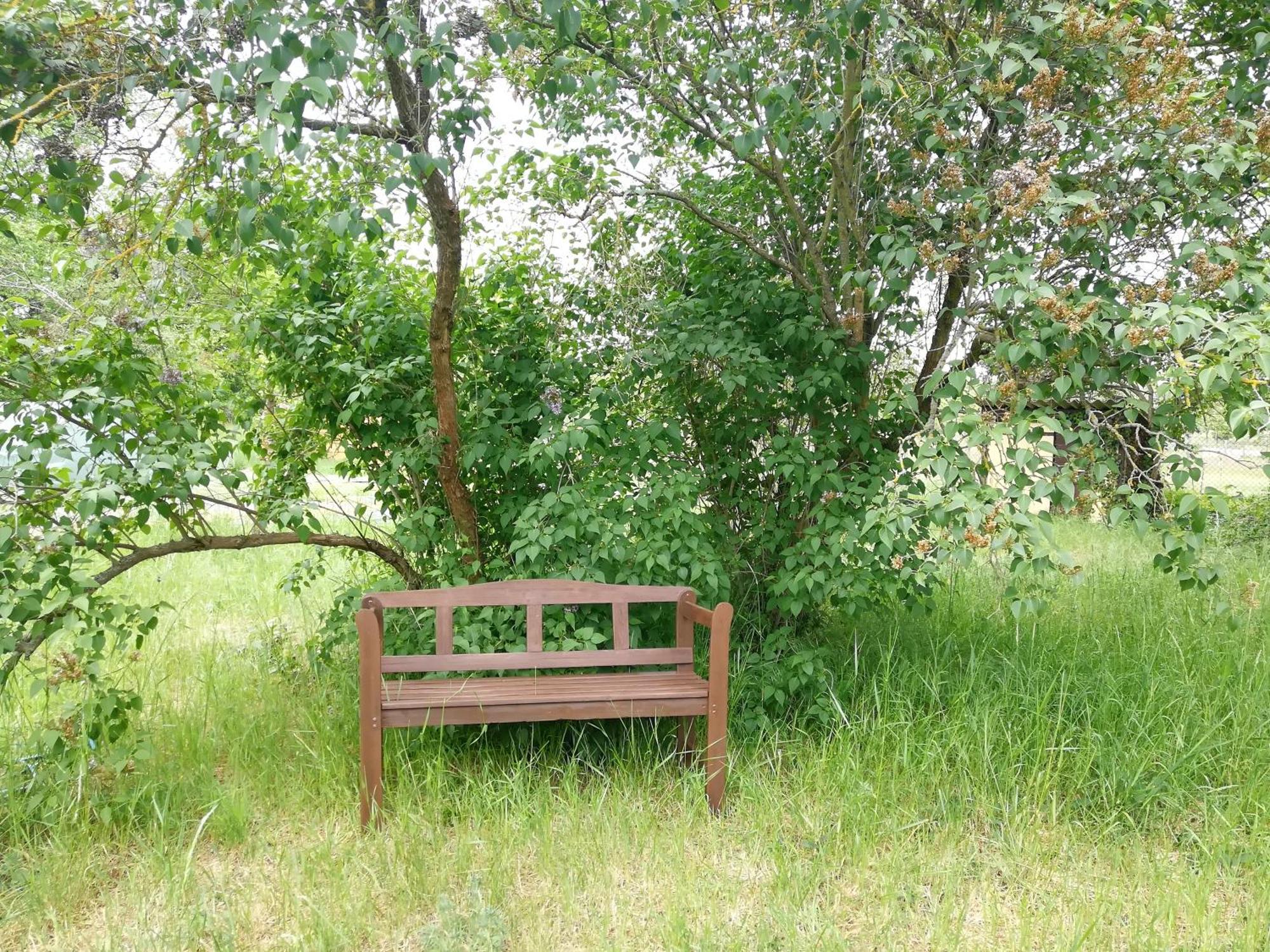 Ehemalige Bibliothek Apartment Fuer 2 Mit Kueche Kamin Netflix Parken Und Hofladen Steinhofel Buitenkant foto